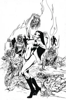 Cover of Cover O