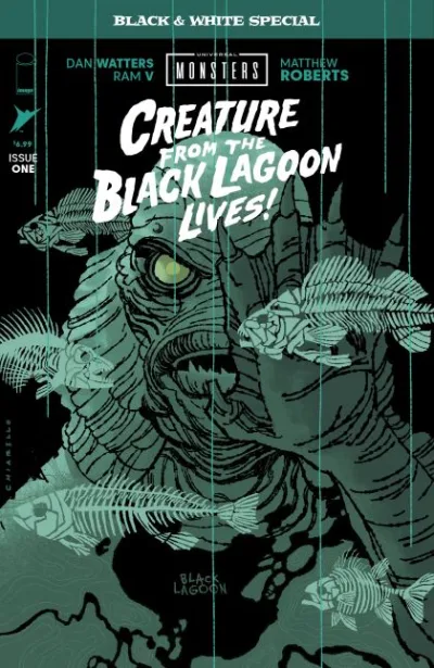 Cover of Cover B