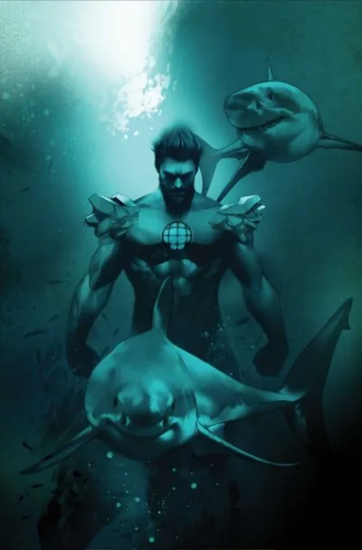 Cover of Cover H