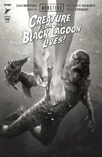 Cover of Cover D