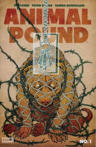 Cover of Cover B