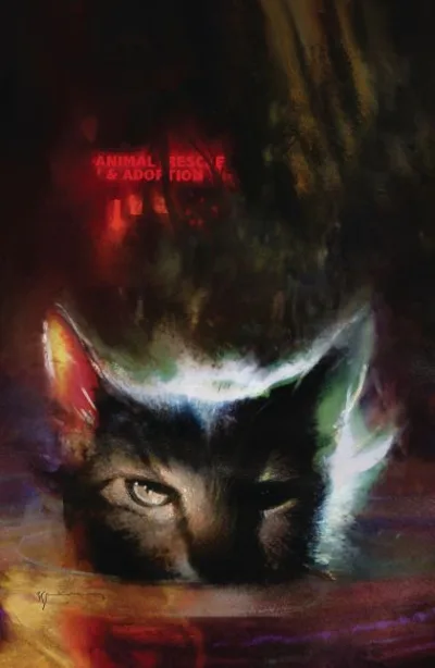 Cover of Cover D