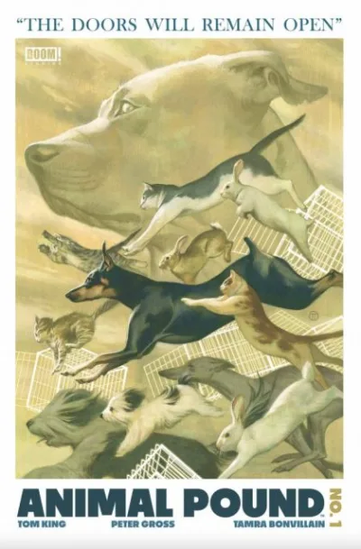Cover of Cover D