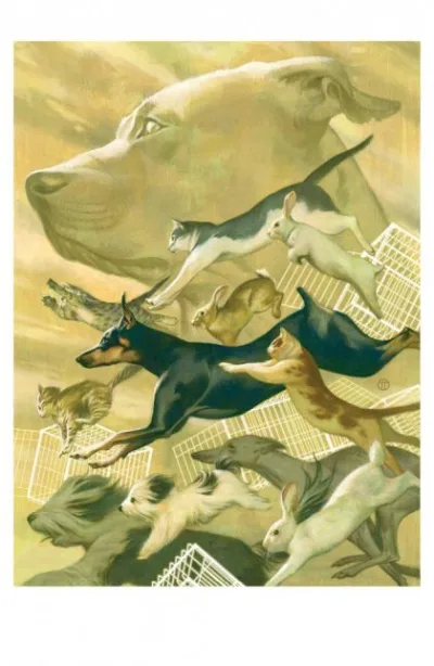 Cover of Cover E