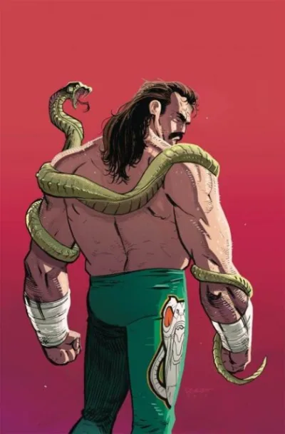 Cover of Cover C