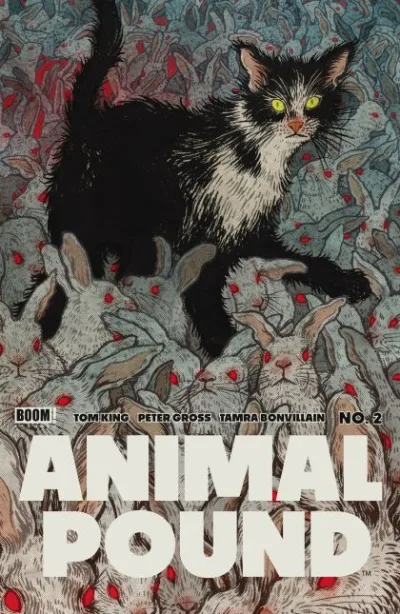 Cover of Cover B