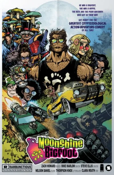 Cover of Cover B