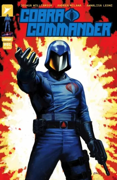 Cover of Cover D
