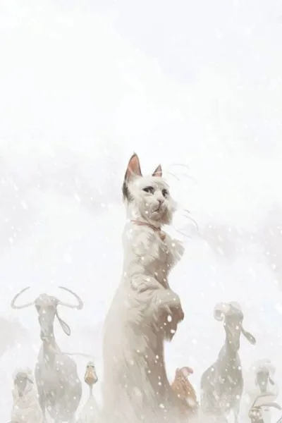 Cover of Cover C