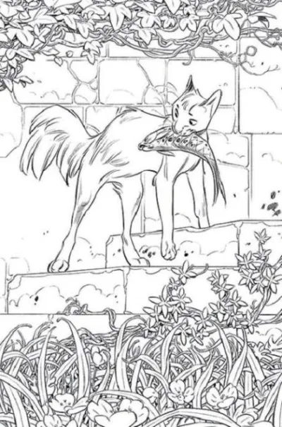 Cover of Cover D