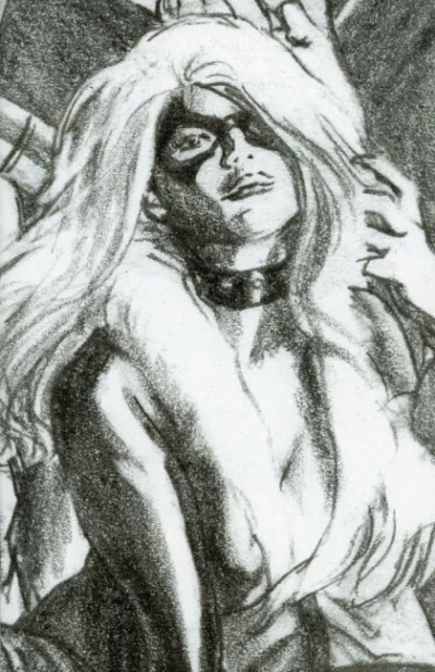 Cover of Cover C