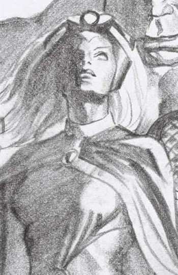 Cover of Cover D