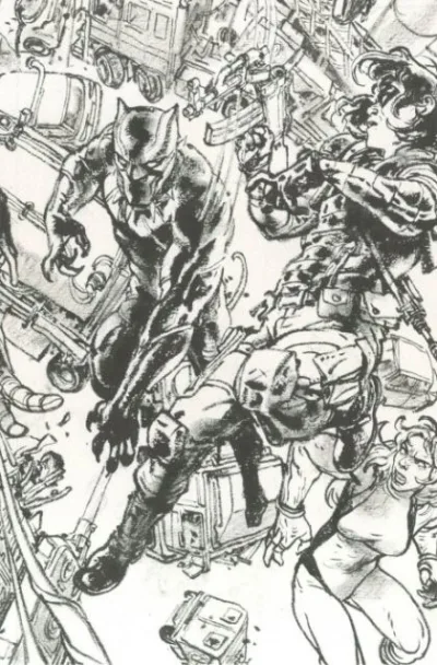 Cover of Cover B