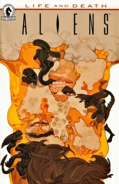 Cover of Cover B