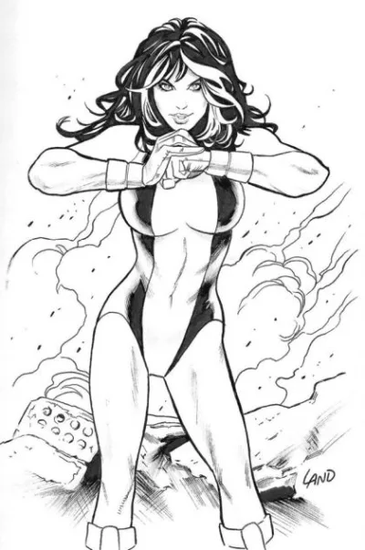 Cover of Cover D
