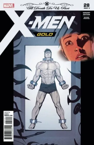 Cover of Cover B