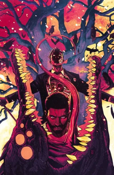 Cover of Cover D