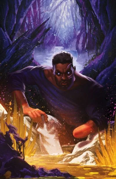Cover of Cover D