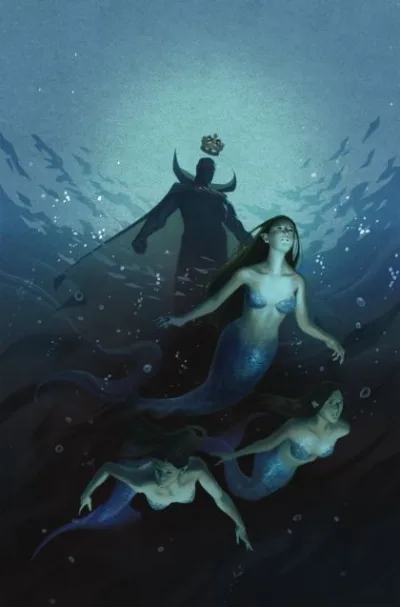 Cover of Cover D