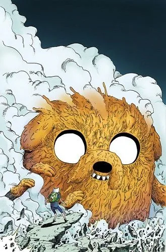 Cover of Cover D