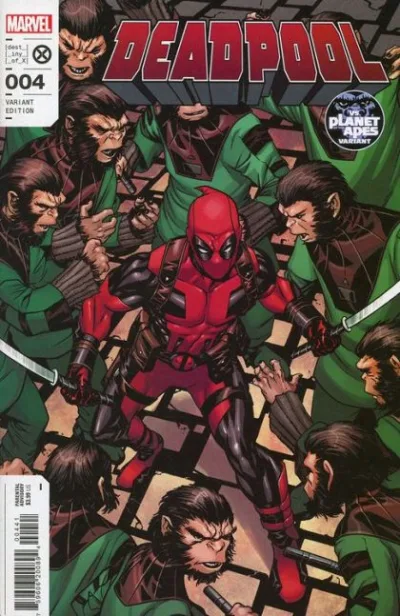 Cover of Cover D
