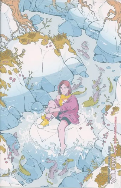 Cover of Cover C