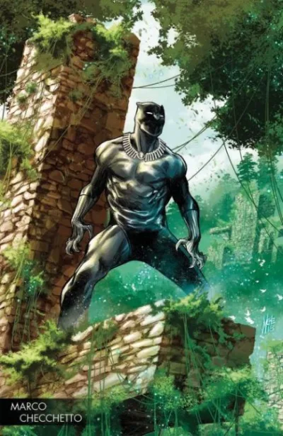 Cover of Cover D