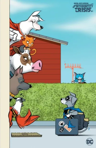 Cover of Cover D