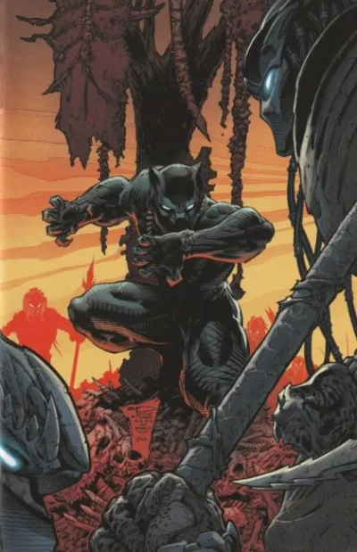 Cover of Cover I