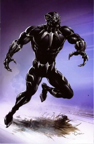 Cover of Cover D