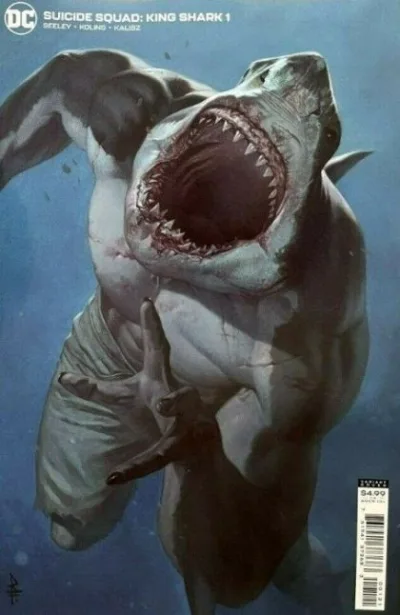 Cover of Cover B
