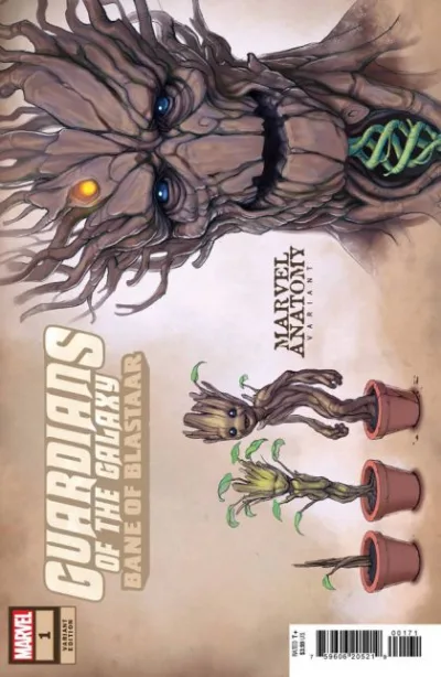Cover of Cover B