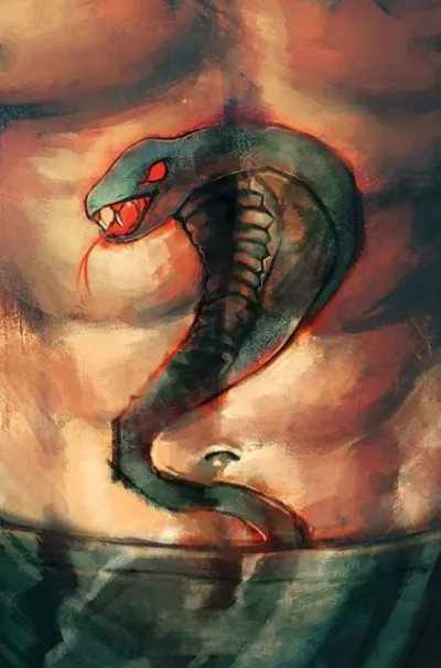Cover of Cover E