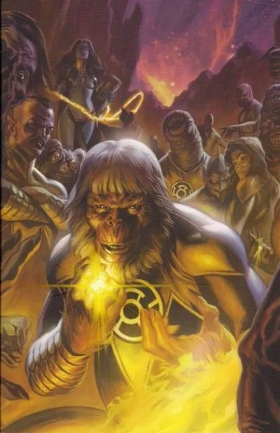 Cover of Cover D