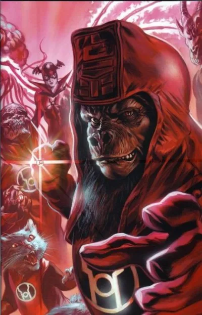 Cover of Cover D