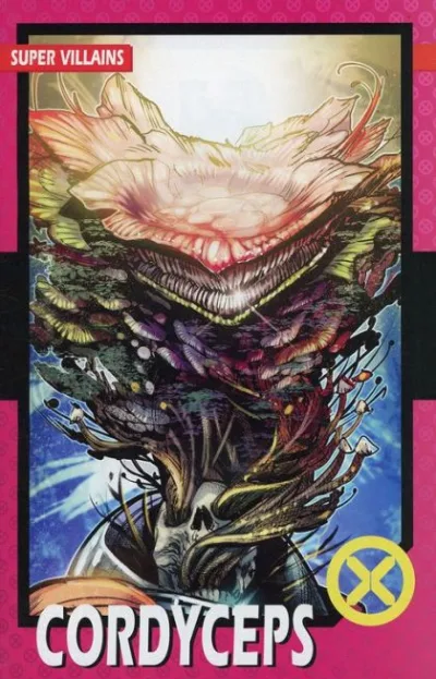 Cover of Cover B