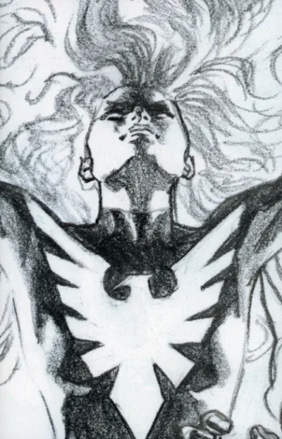 Cover of Cover D