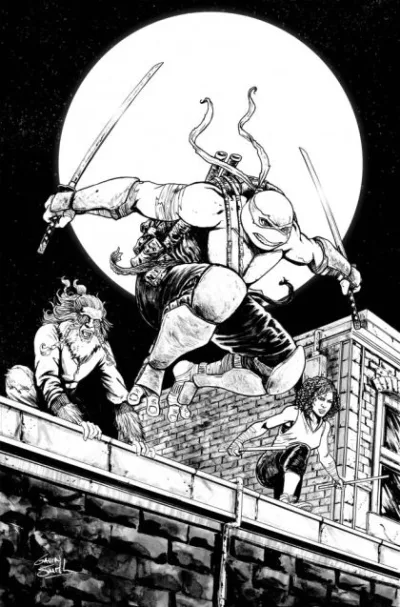 Cover of Cover D