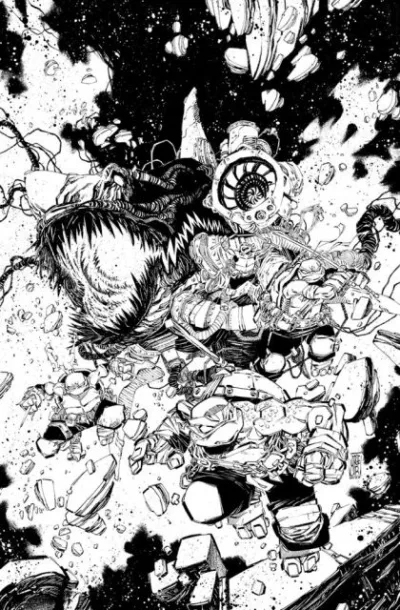 Cover of Cover D