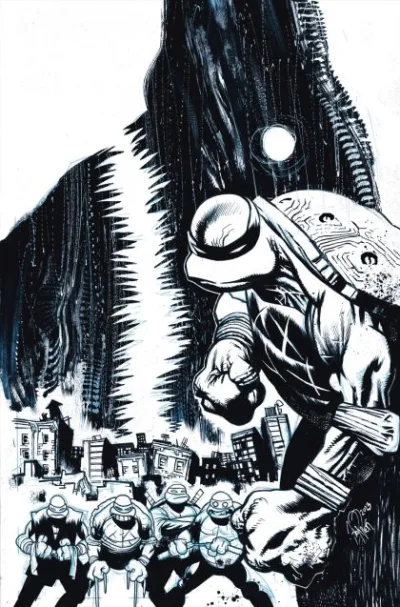 Cover of Cover D