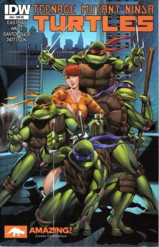 Cover of Cover D