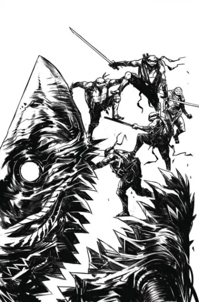 Cover of Cover D