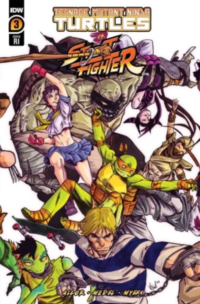 Cover of Cover D