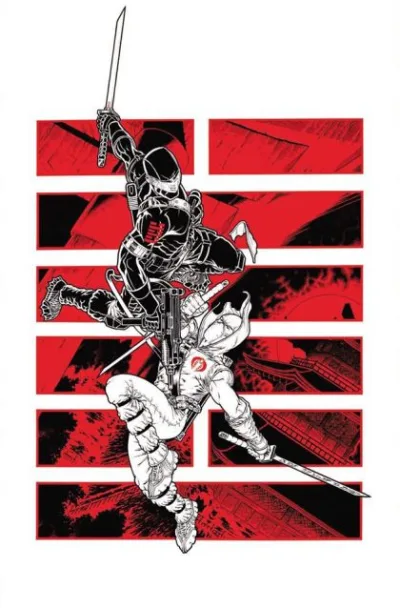 Cover of Cover RIB