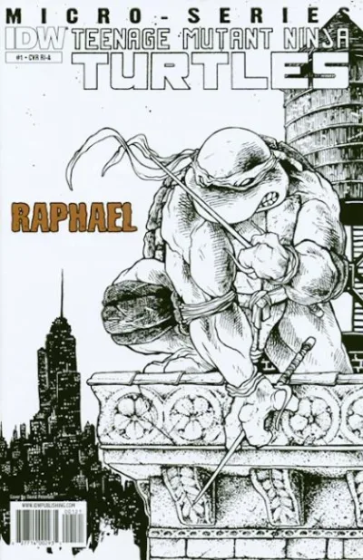 Cover of Cover D