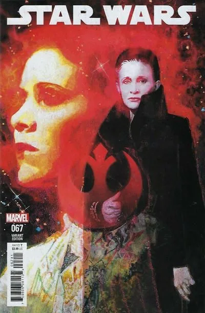 Cover of Cover D