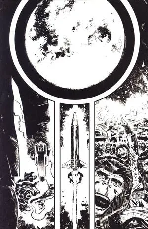 Cover of Cover D