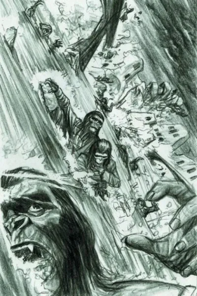 Cover of Cover D