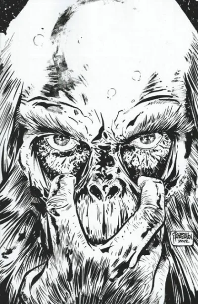 Cover of Cover D