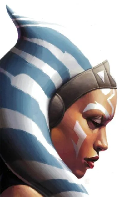 Cover of Cover V